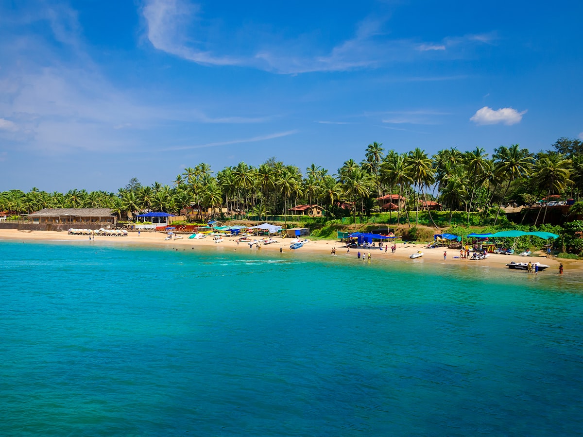 Goa, Goa β Palm-lined Palolem beach with golden sand on the Goa coast